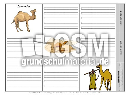 Leporello-Dromedar-2-1-2.pdf